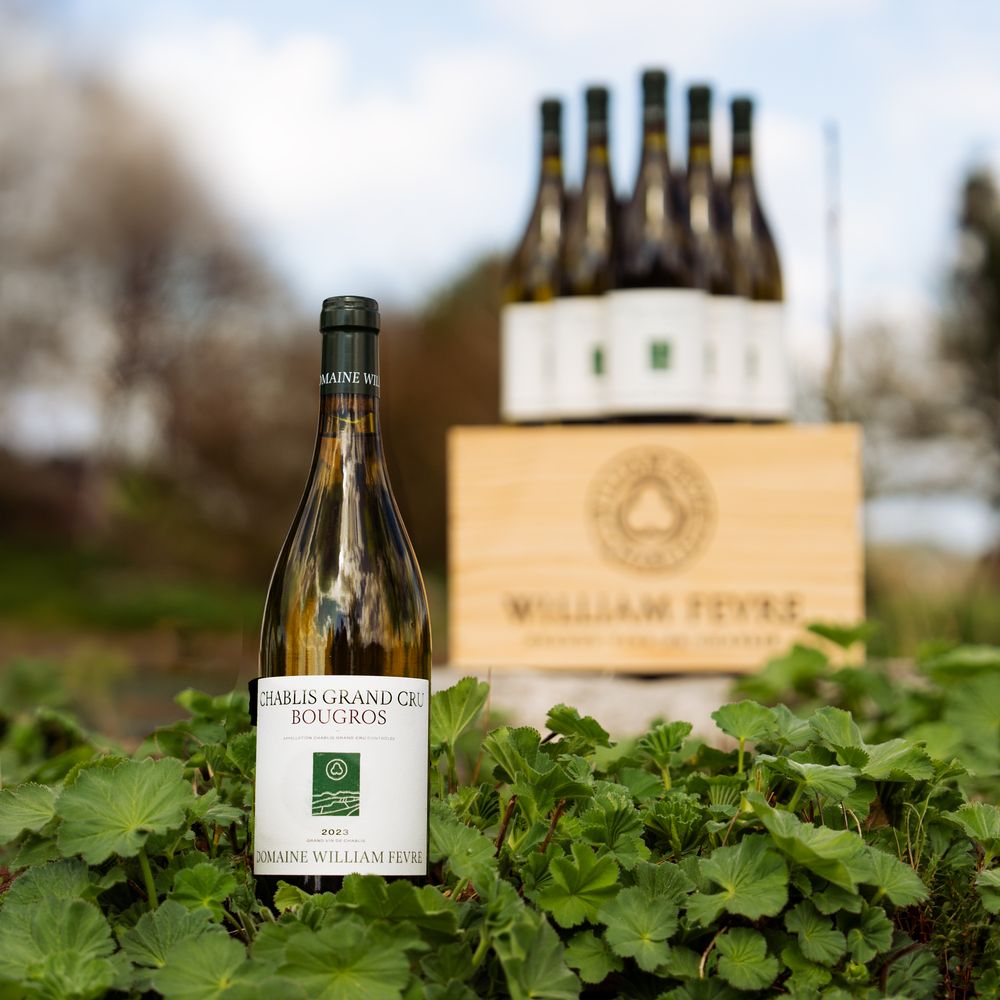 Domaine William Fevre - Chablis Bougros Domaine Grand Cru 2023 Vorteilspaket