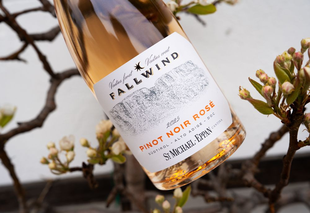 FALLWIND Pinot Noir Rosé 2025
