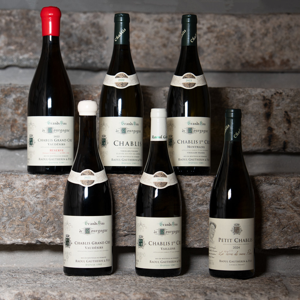 Domaine Raoul Gautherin et Fils - Assortment