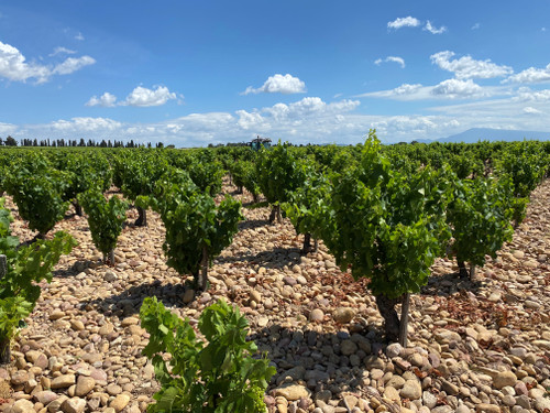 Domaine Henri Bonneau