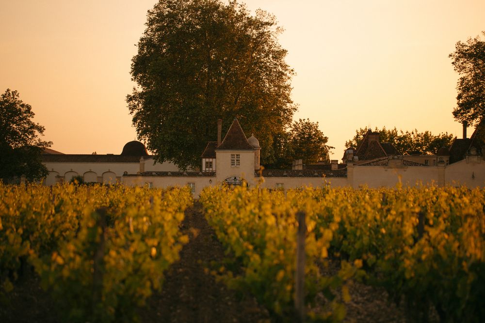 Bild von Chateau Rauzan Segla