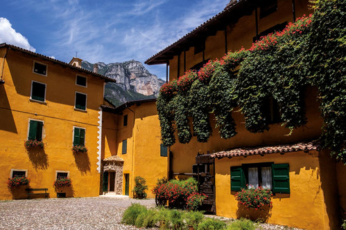 Tenuta San Leonardo