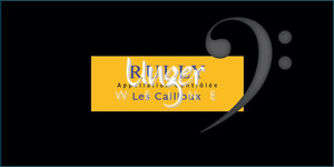 2023 Rully Blanc Les Chatalienne Domaine Les Champs De L`Abbaye Cote Chalonnaise