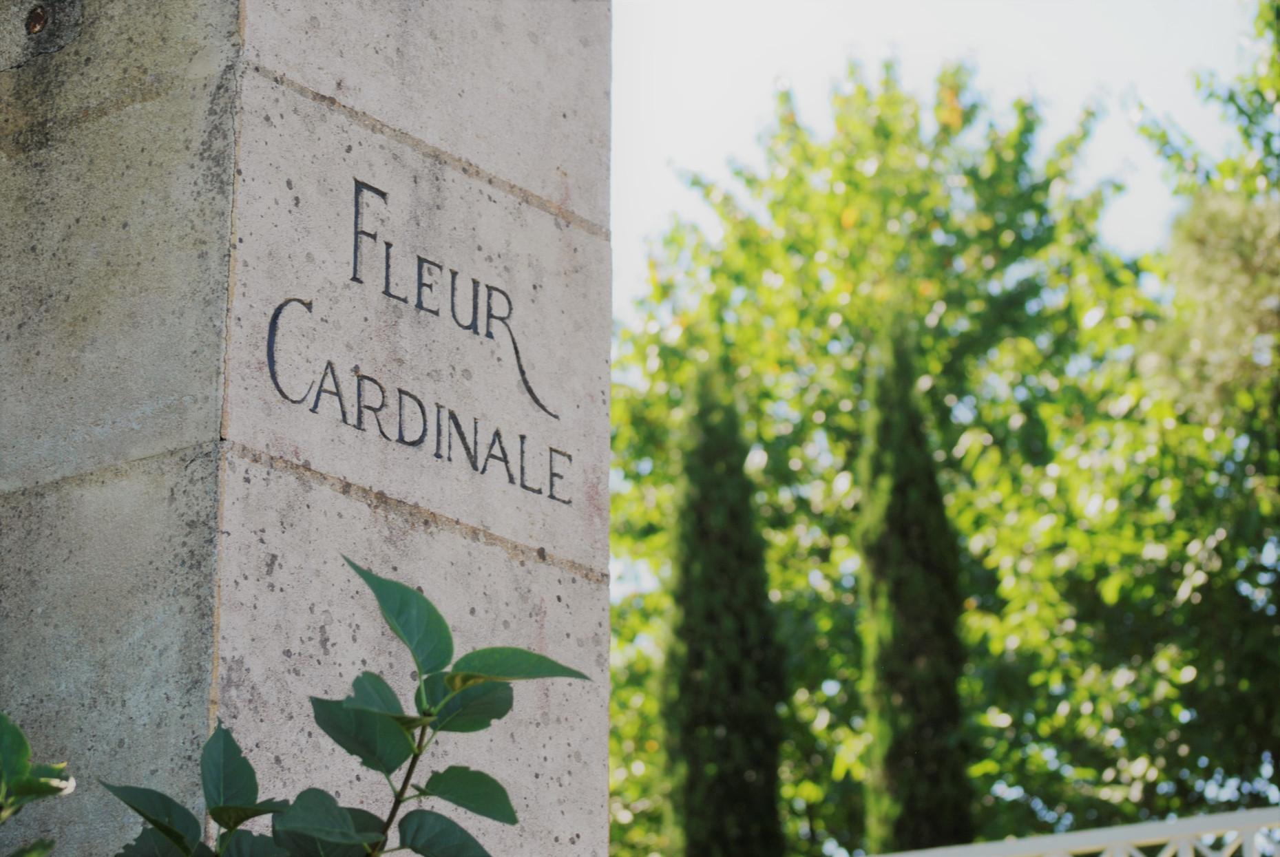 Bild von Chateau Fleur Cardinale
