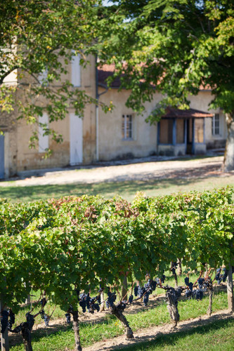 Chateau Clos Les Lunelles
