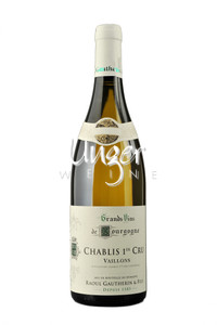 2023 Chablis Vaillons 1er Cru Domaine Raoul Gautherin et Fils Chablis