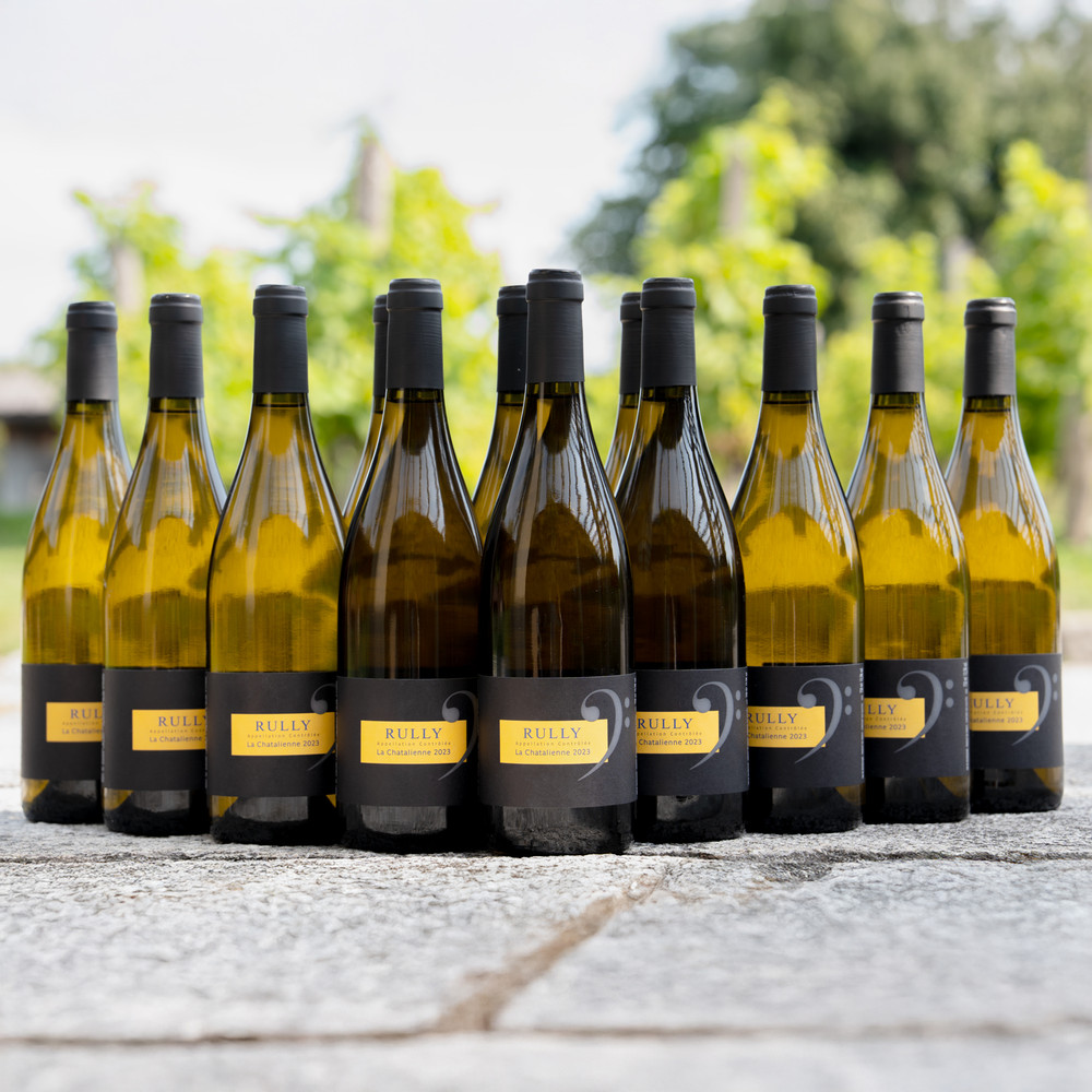 Domaine Les Champs De L`Abbaye - Rully Blanc Les Chatalienne - 12er Vorteilspaket 2023