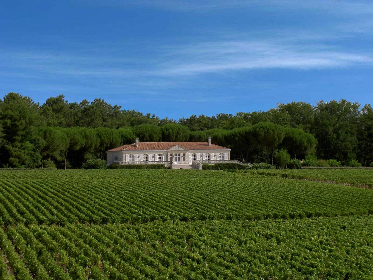 Bild von Chateau Caronne Sainte Gemme