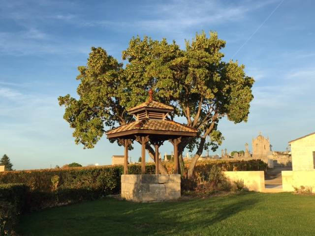 Bild von Chateau Clos Saint Martin