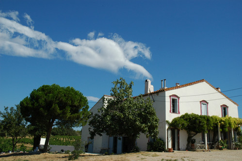 Vignobles sous le vent