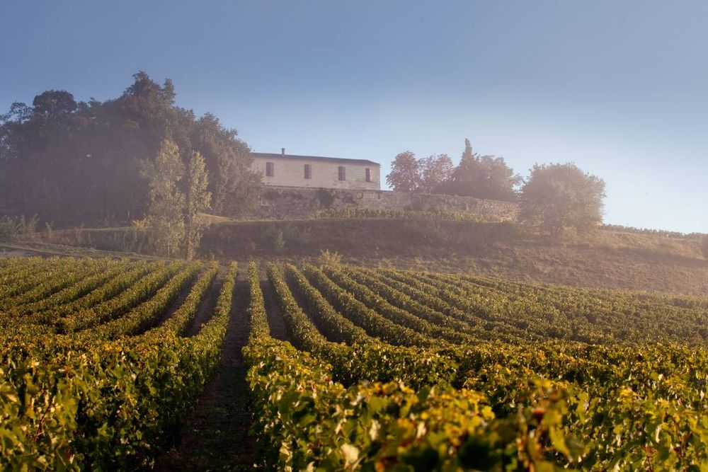 Bild von Chateau L´Arrosee