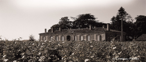 Chateau Pibran