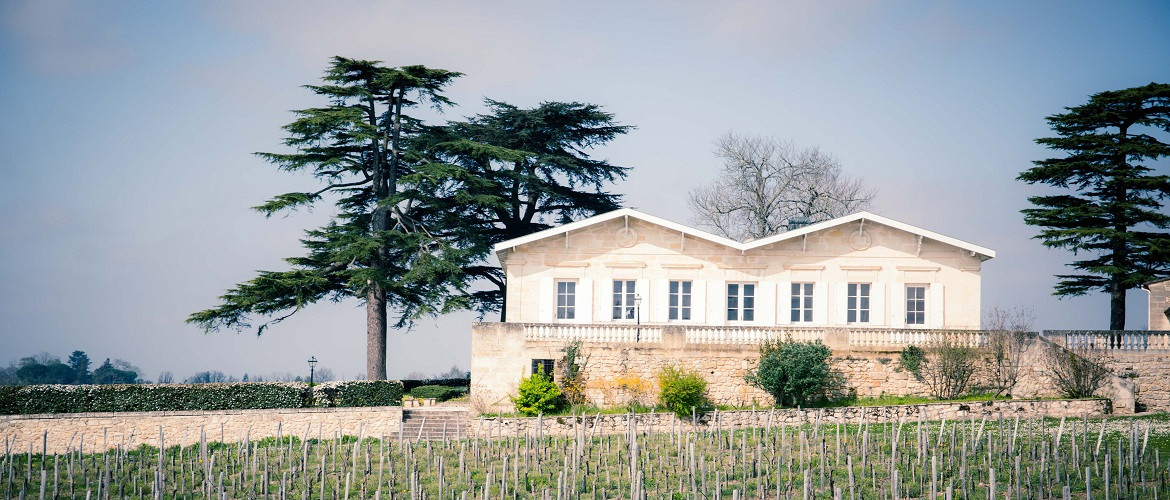 Bild von Chateau Cap Saint George