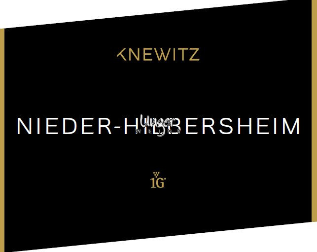 2022 Nieder-Hilbersheim Riesling Erstes Gewächs Trocken Weingut Knewitz Rheinhessen