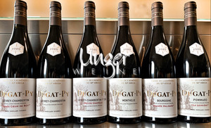 2020 Kollektion Rotweine Dugat Py Burgund