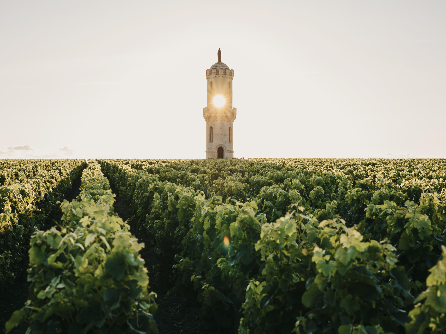 Bild von Chateau Haut Batailley