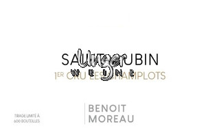 2020 Saint Aubin 1er Cru Les Champlots Benoit Moreau Cote de Beaune