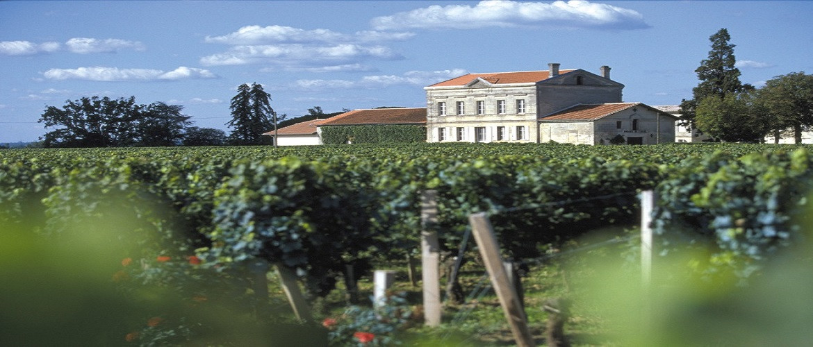 Bild von Chateau Clos l´Eglise Pomerol