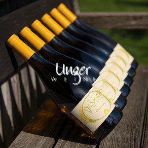 2019 Chardonnay - 6er Vorteilspaket Napa Valley