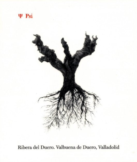 Bodegas y Vinedos Alnardo - Peter Sisseck - PSI 2020 0,75 L