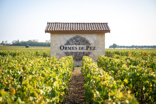 Chateau Ormes de Pez