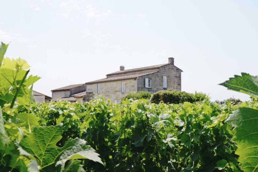 Bild von Chateau Ferrand Lartigue