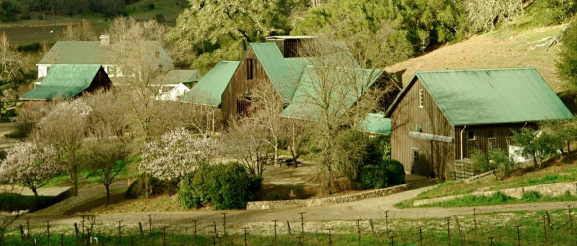 Eisele Vineyard (Araujo Estate)