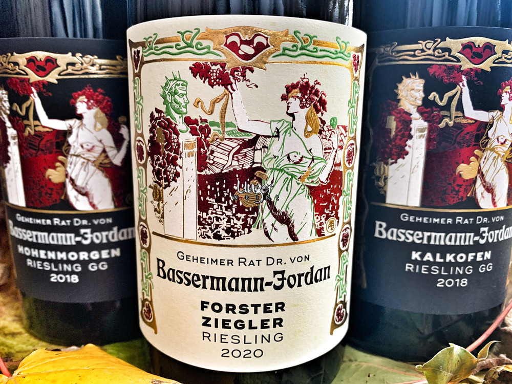 Riesling-Sixpack (Vorteilspaket) Bassermann Jordan Pfalz