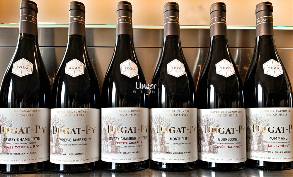 2020 Kollektion Rotweine Dugat Py Burgund