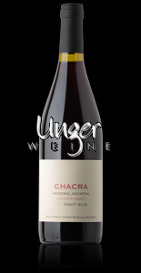 2021 Cincuenta y Cinco Pinot Noir Chacra Patagonien
