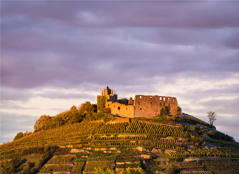 Weingut Martin Wassmer