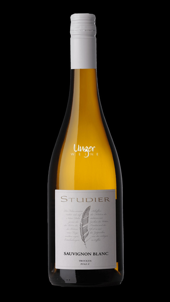 Weingut Studier - Sauvignon Blanc Campus 2024