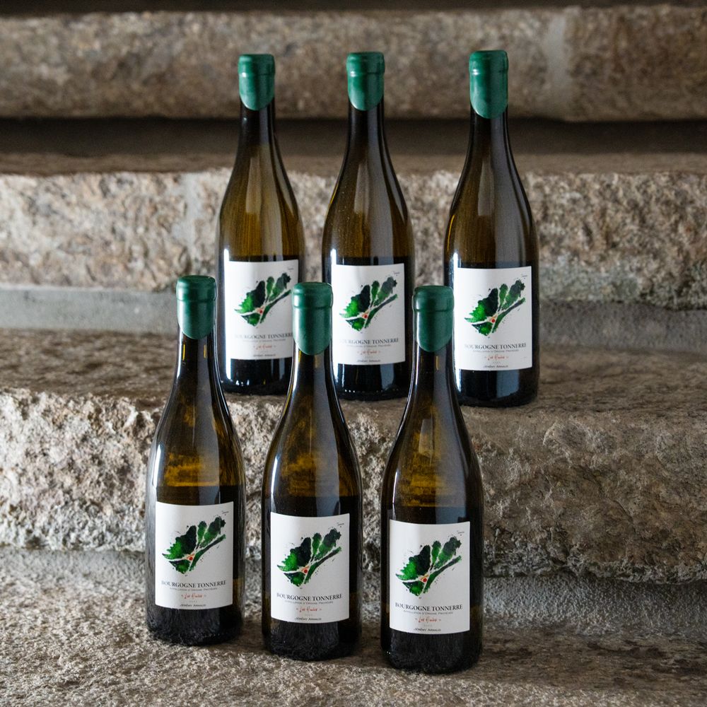 2023 Bourgogne Tonnerre "Les Huées" Domaine Jeremy Arnaud Burgund