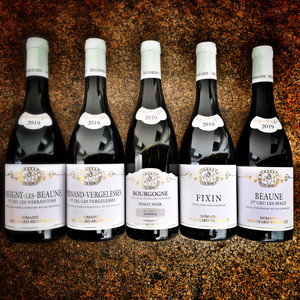 2019 Kollektion Mongeard Mugneret Burgund