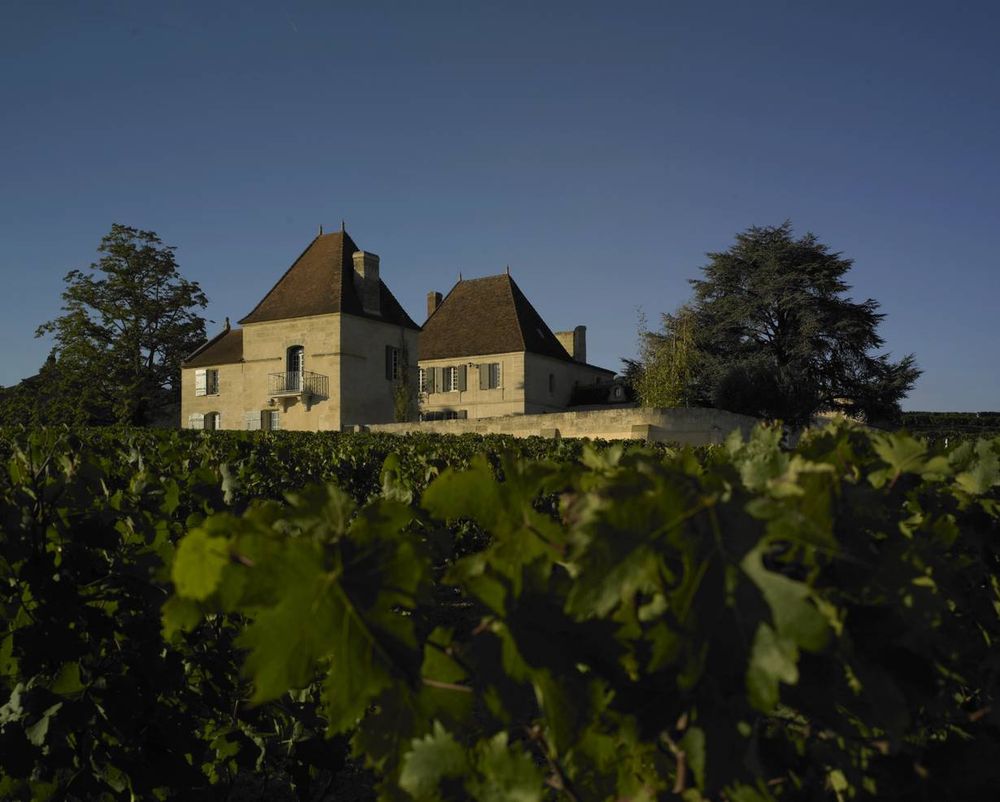 Bild von Chateau Belair-Monange
