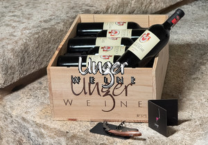 2020 Seigneurs d´Aiguilhe "Unger Weine - 12er OHK, Korkenzieher, Drop Stop" Chateau d´Aiguilhe Cotes de Castillon