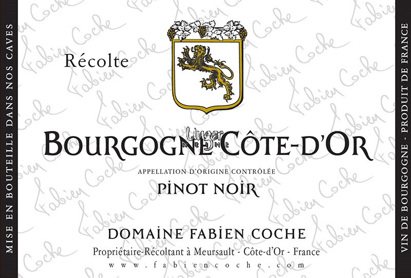 2021 Bourgogne Cote D’Or Pinot Noir Domaine Fabien Coche Burgund