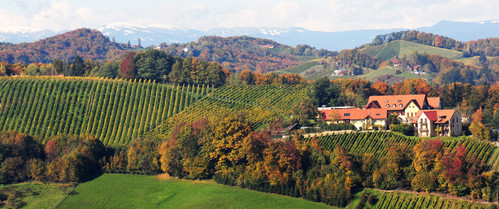 Sattlerhof
