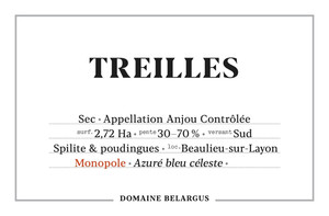 2020 Treilles Domaine Belargus Anjou