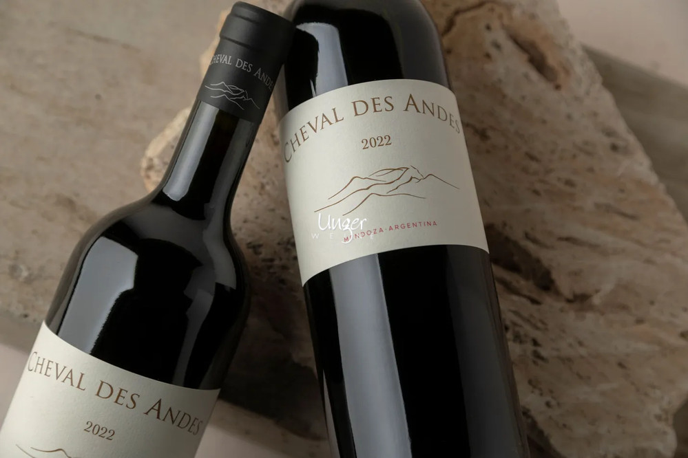 Cheval des Andes 2022