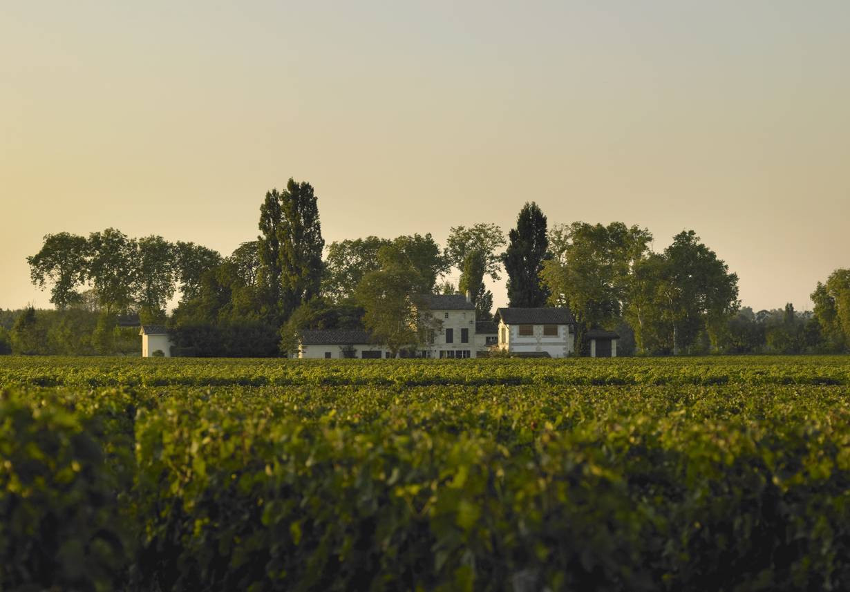Bild von Chateau La Grave a Pomerol