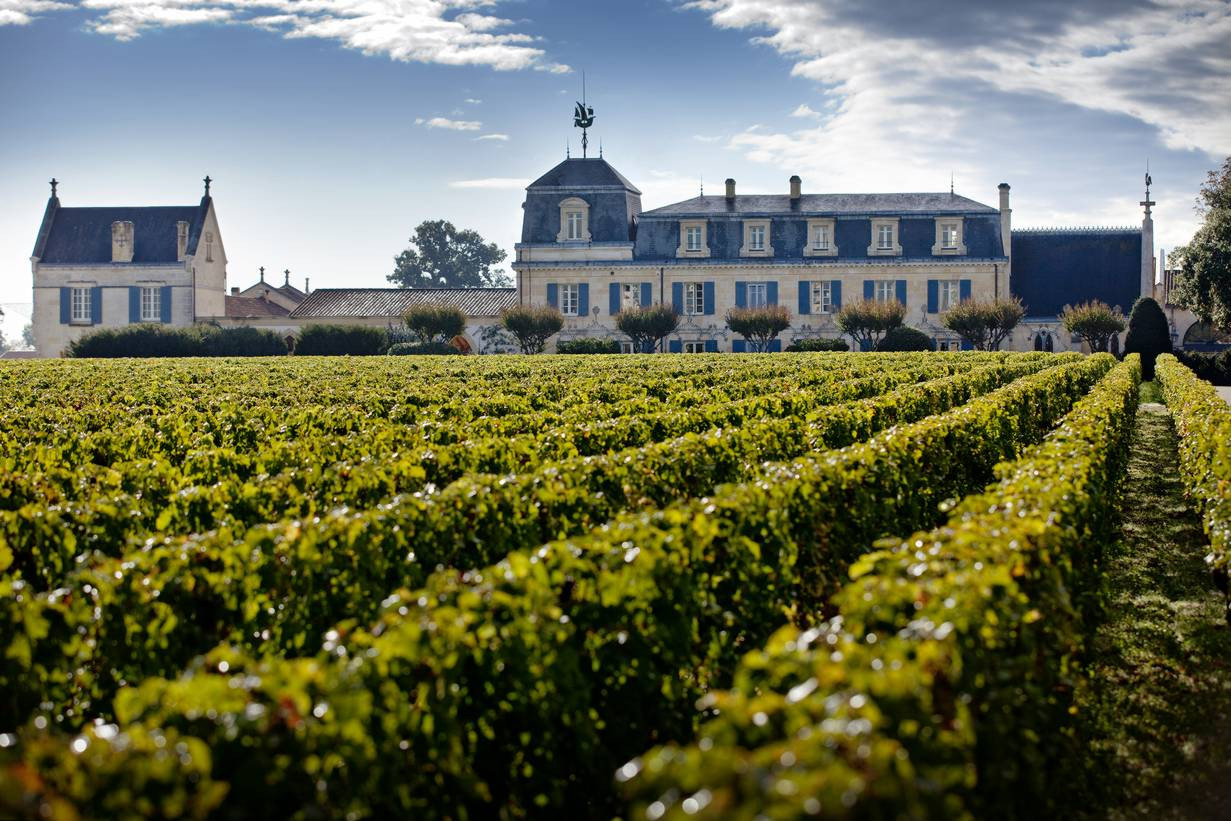 Bild von Chateau La Tour Haut Brion