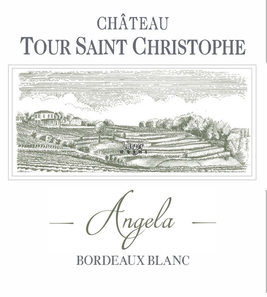 2020 Angela Bordeaux Blanc Chateau Tour Saint Christophe Saint Emilion