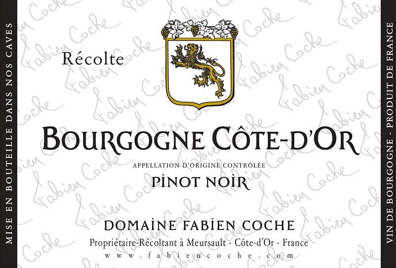 2021 Bourgogne Cote D’Or Pinot Noir Domaine Fabien Coche Burgund