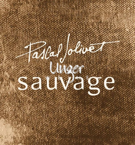 2019 Sancerre Blanc Sauvage Jolivet, Pascal Sancerre