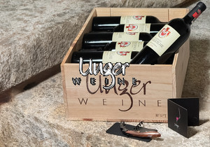 2020 Seigneurs d´Aiguilhe "Unger Weine - 12er OHK, Korkenzieher, Drop Stop" Chateau d´Aiguilhe Cotes de Castillon