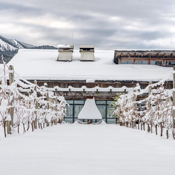 Anmeldung zum 17. Weihnachtstasting
