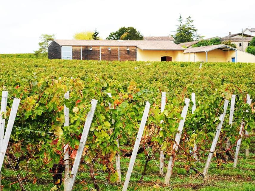 Bild von Chateau Clos de Bouard