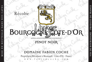 2021 Bourgogne Cote D’Or Pinot Noir Domaine Fabien Coche Burgund