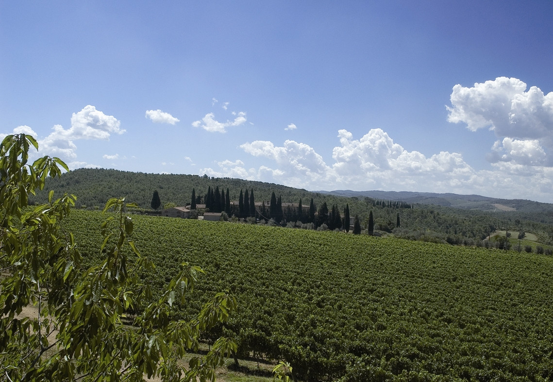Bild von Antinori